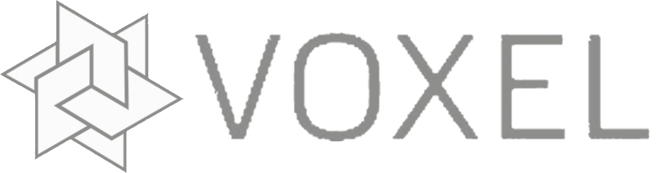 Voxel logo